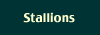 Paint Horse, Pony Hunter, Sport Pony, Sport Horse, Reining - Cutting, Foundation Bred Paint Stallions Standing At Stud